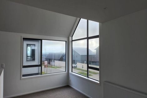 Photo of property in 17 Lemonwood Way, Woodridge, Wellington, 6037