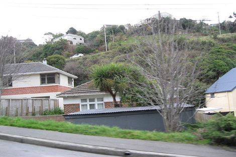 Photo of property in 128 Bedford Street, Saint Clair, Dunedin, 9012