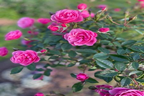 Photo of property in 263a Walton Road, Richmond Downs, Walton, 3475