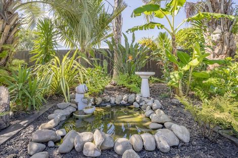 Photo of property in 31 Wells Place, Whitianga, 3510