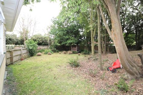 Photo of property in 8 Saint John Street, Southbridge, 7602