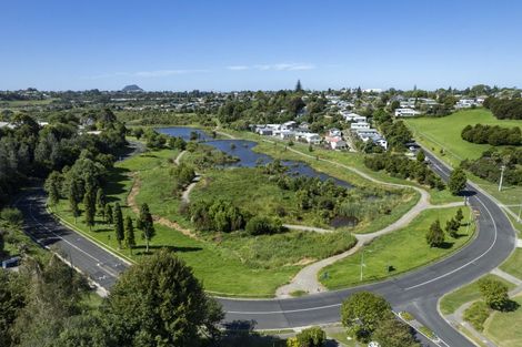 Photo of property in 97 Watling Street, Gate Pa, Tauranga, 3112