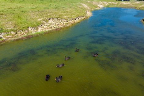 Photo of property in 363 Caseys Road, Lake Grassmere, Seddon, 7285