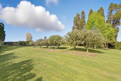 Photo of property in 337 Cambridge Road, Tauriko, Tauranga, 3110