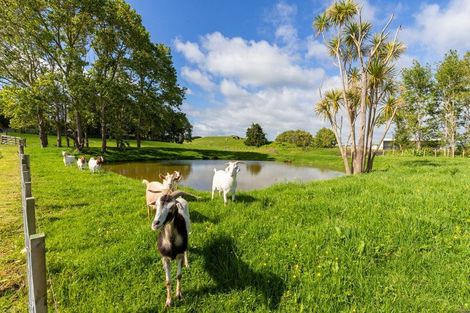 Photo of property in 73 Ranganui Road, Kaiwaka, 0573