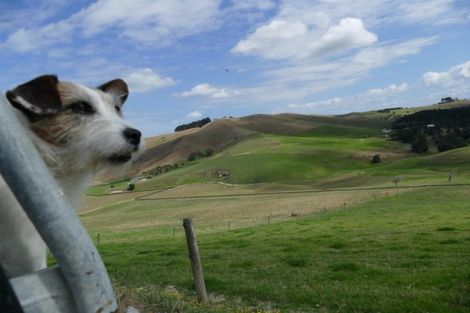 Photo of property in 182 Morrison Road, Arapohue, Dargaville, 0374