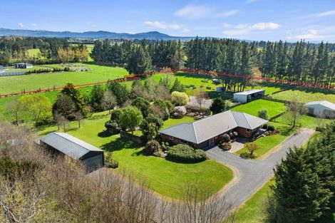 Photo of property in 150 Skewbridge Road, Flaxton, Kaiapoi, 7691