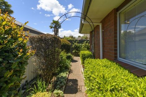 Photo of property in 8a Courtney Road, Gate Pa, Tauranga, 3112