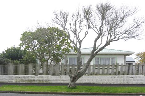 Photo of property in 19 Broadmore Street, Vogeltown, New Plymouth, 4310
