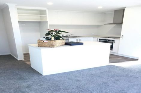 Photo of property in 25 Ascot Street, Richmond, 7020