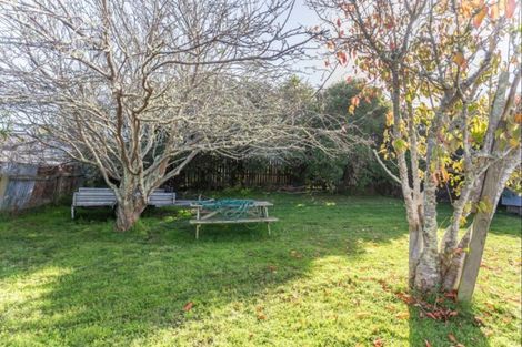 Photo of property in 18 Punga Street, Tangimoana, 4822