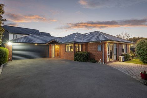 Photo of property in 46 Oxley Avenue, St Albans, Christchurch, 8014