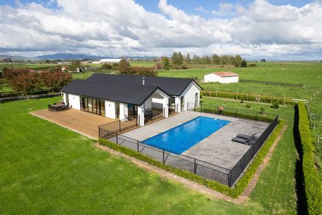 Photo of property in 243 Parallel Road, Ohaupo, Cambridge, 3495