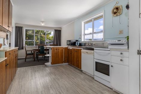 Photo of property in 10 Hobson Street, Levin, 5510