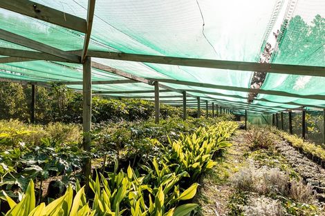 Photo of property in 307 Pomona Road, Ruby Bay, Upper Moutere, 7173