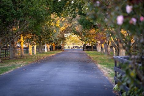 Photo of property in 105 Marshmeadow Road, Newstead, Hamilton, 3286