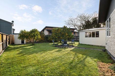 Photo of property in 45 Tongariro Street, Chartwell, Hamilton, 3210