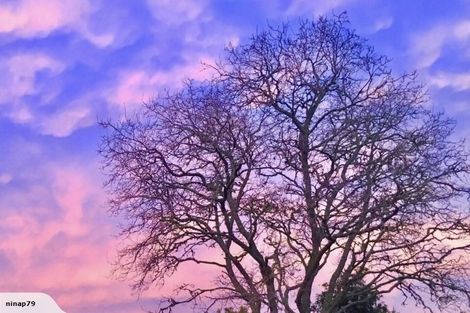 Photo of property in 93b Pungaere Road, Waipapa, Kerikeri, 0295