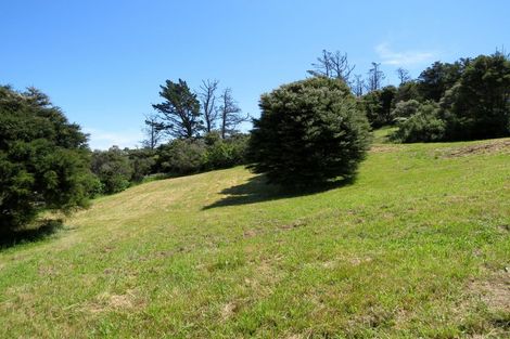 Photo of property in 945 Hauraki Road, Coromandel, 3506