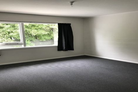 Photo of property in 3/28 Hornbrook Street, Waltham, Christchurch, 8023