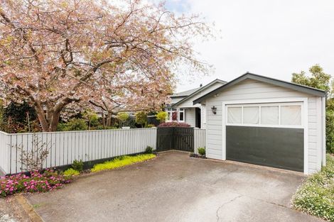 Photo of property in 44 Church Street, Awapuni, Palmerston North, 4412