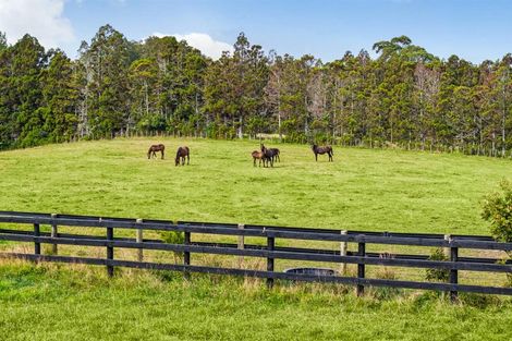 Photo of property in 145 Hanham Road, Kumeu, 0891