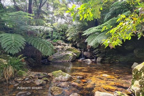 Photo of property in 340 Buffalo Road, Coromandel, 3506