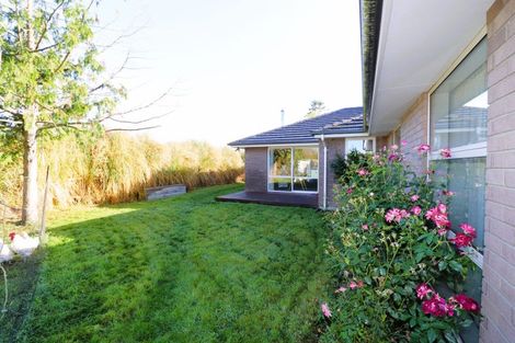 Photo of property in 29 Petticoat Lane, Doyleston, 7682