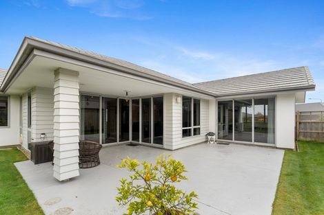 Photo of property in 11 Joyce Place, Richmond, 7020