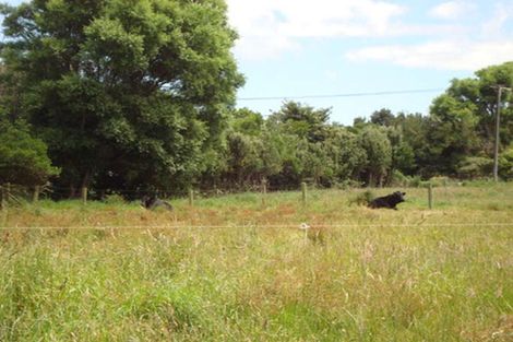 Photo of property in 77 Riemenschneider Street, Manaia, 4612