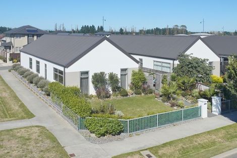 Photo of property in 77 Mary Ellen Street, Pegasus, 7612