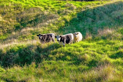 Photo of property in 61a Porter Road, Paparoa, 0571