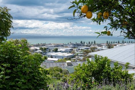 Photo of property in 8 Goldsmith Terrace, Hospital Hill, Napier, 4110