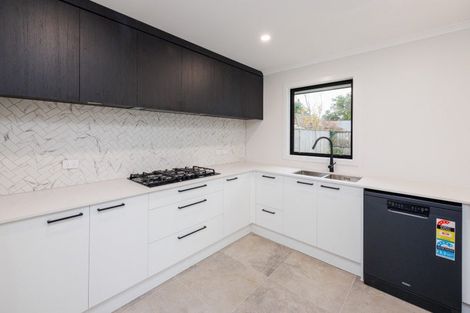 Photo of property in 32a Leicester Street, Terrace End, Palmerston North, 4410