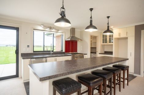 Photo of property in 566 Taonui Road, Colyton, Feilding, 4775