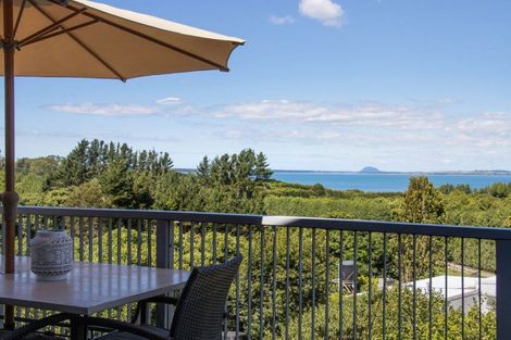 Photo of property in 252e Kauri Point Road, Tahawai, Katikati, 3170