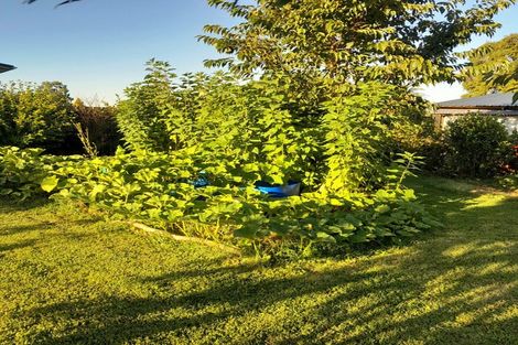 Photo of property in 115 Pine Drive, Murupara, 3025