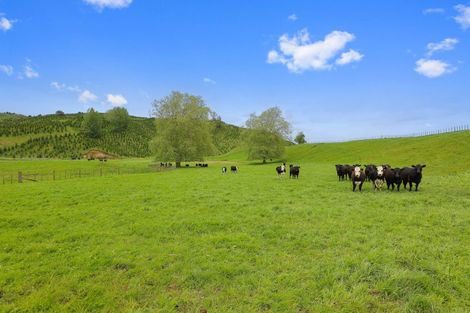 Photo of property in 987 Ongarue Back Road, Ongarue, Taumarunui, 3996