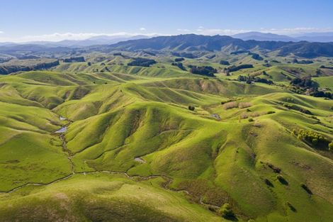 Photo of property in 390 North Road, North East Valley, Dunedin, 9010