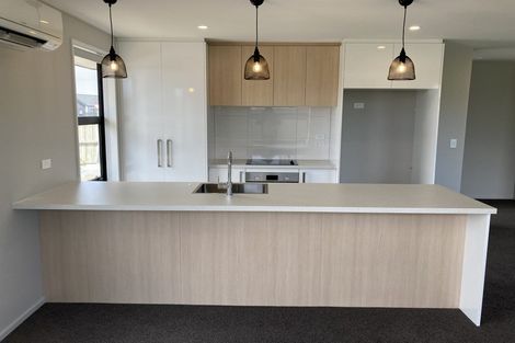 Photo of property in 35 Bonecrusher Street, Lincoln, 7608