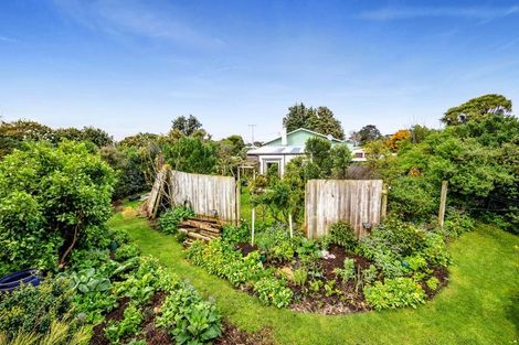 Photo of property in 77 Kapuni Street, Manaia, 4612