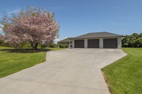 Photo of property in 257 Te Puna Road, Te Puna, Tauranga, 3176