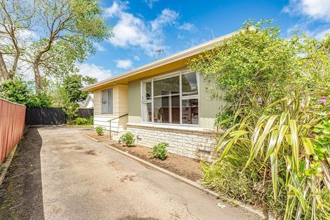 Photo of property in 5b Rawhiti Place, Saint Johns Hill, Whanganui, 4501
