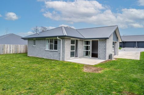 Photo of property in 41a Acacia Avenue, Kihikihi, Te Awamutu, 3800