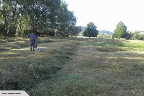 Photo of property in 393 Wentworth Valley Road, Whangamata, 3691