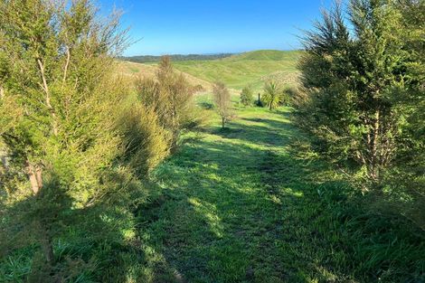 Photo of property in 31 Tarver Lane, Pikowai, Whakatane, 3194