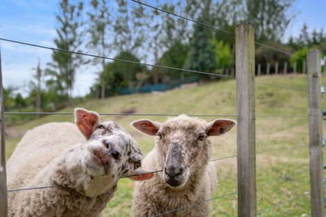 Photo of property in 1/142 Mapara Road, Acacia Bay, Taupo, 3385