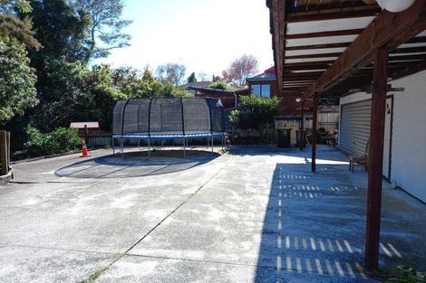 Photo of property in 50 Eugenia Rise, Totara Heights, Auckland, 2105