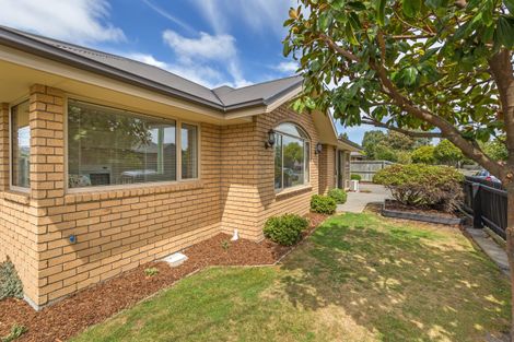 Photo of property in 24 Cooke Street, Somerfield, Christchurch, 8024