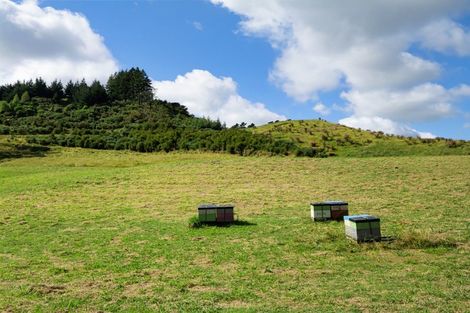 Photo of property in 210 Wainui Road South, Whakamarama, Katikati, 3181